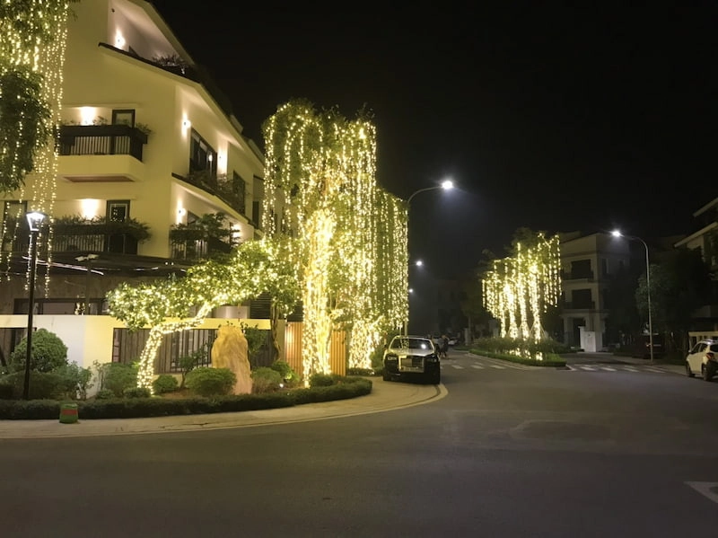 Trang trí đèn LED tại hàng cây xanh